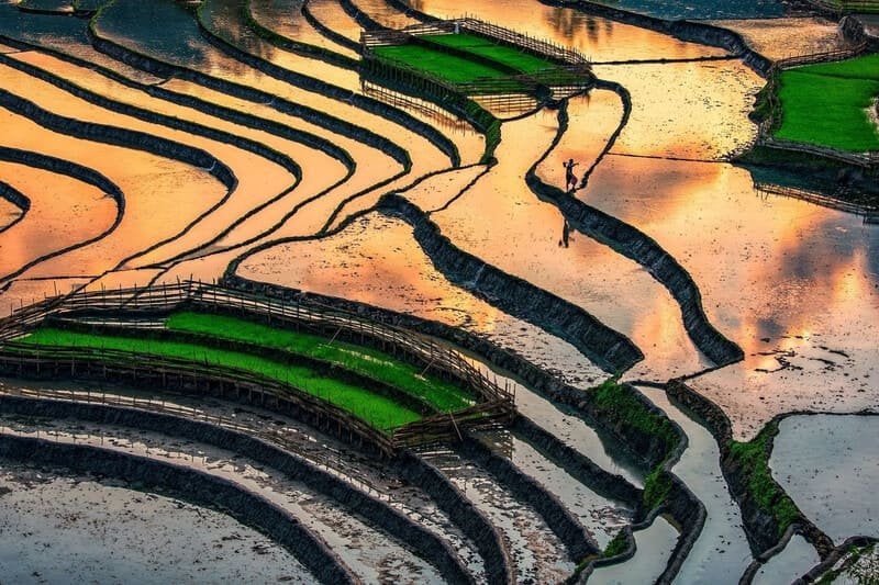 Terraced fields, north vietnam, water pouring season
