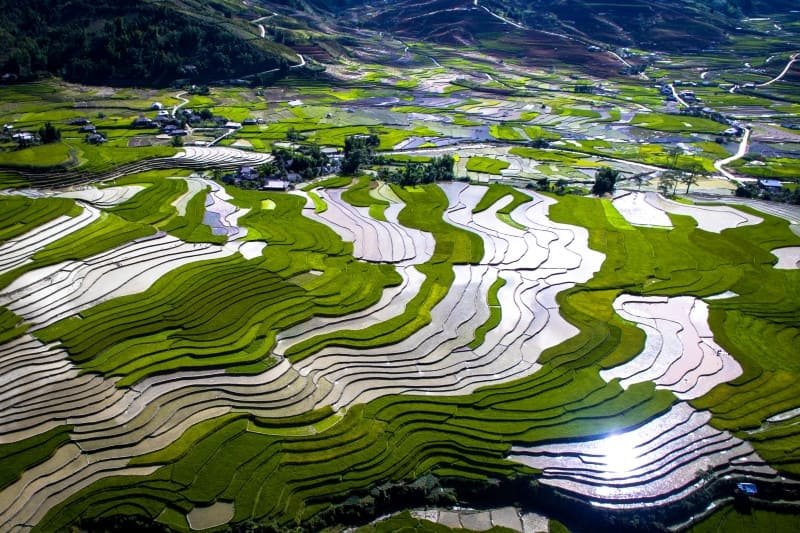 Terraced fields, north vietnam, water pouring season