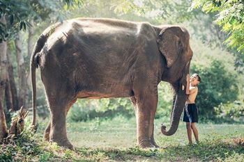 viajar a camboya