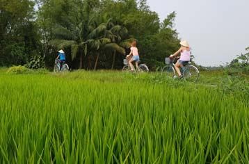 Hoi An Countryside Tour by Bike