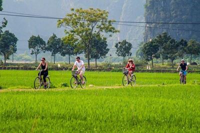 Descubrimiento campos en Hoi An en bicicleta