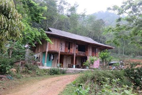 Nghia Lo Homestay
