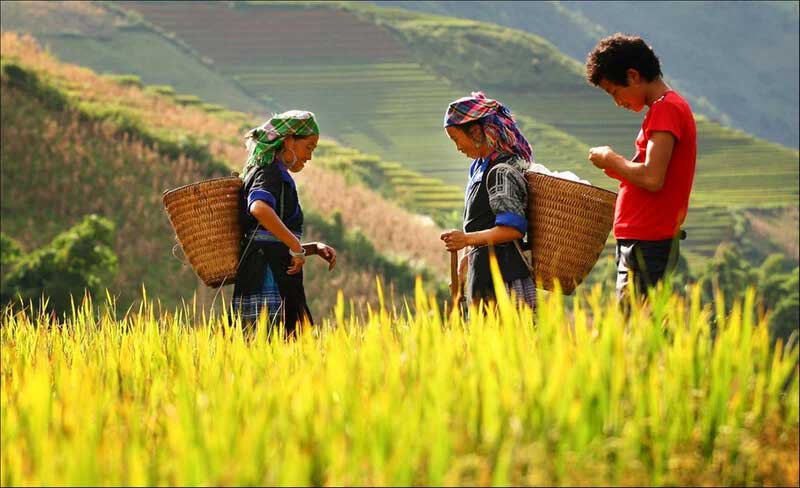 Best Time to Visit Vietnam
