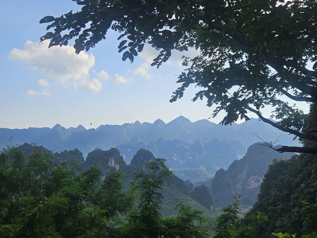 Esperamos que los majestuosos paisajes naturales de Vietnam permanezcan no solo en las fotos, sino también en los hermosos recuerdos de los señores ❤️