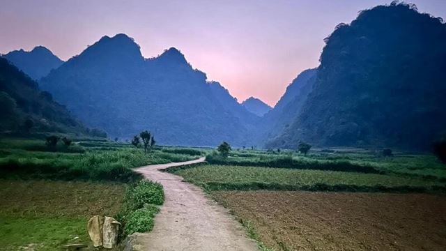 They miss Pu Luong a lot!