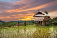 Thailands Cultural Gems Discovery in 10 Days