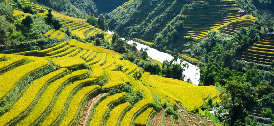 Viajes de senderismo en el norte de Vietnam