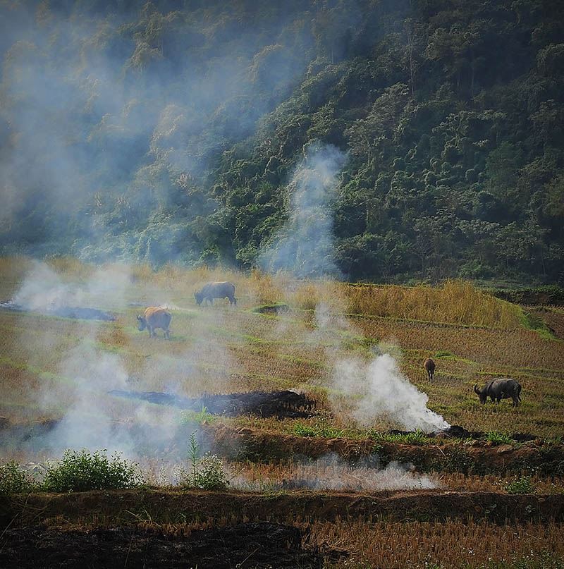 The peaceful landscape of Bac Ha