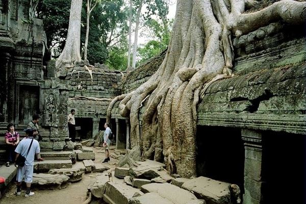 Ta Prohm, conocido por sus impresionantes raíces de árboles