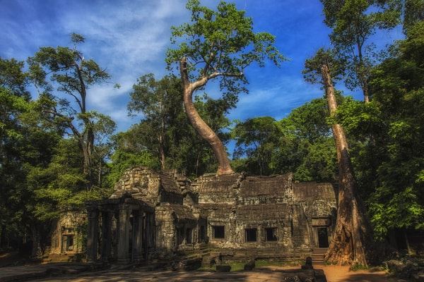 Ta Prohm, conocido por sus impresionantes raíces de árboles
