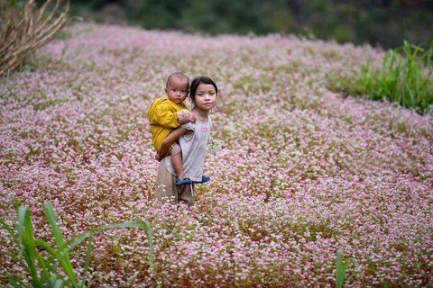 7 Days in Sapa & Ha Giang: Ethnic Villages and Majestic Landscapes