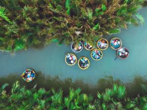 Bay Mau coconut forest in Hoi An is a great place to experience basket rides