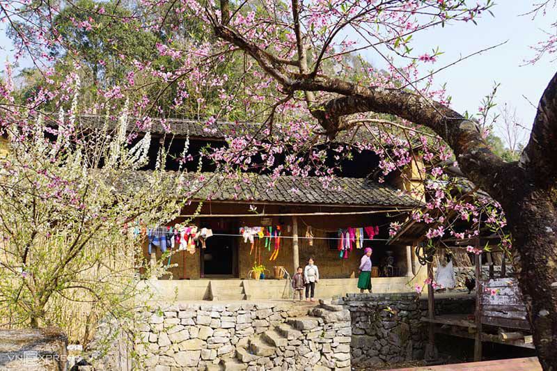 Ethnic diversity thrives in the hills of Ha Giang