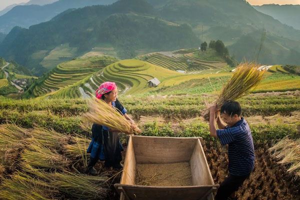 Viaje a Vietnam en 3 semanas: Naturaleza y senderismo