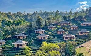Mae Hong Son's misty valleys, where love is as elusive and enchanting as morning fog