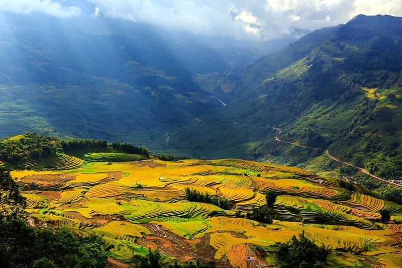 Terraced fields of Sapa: natures masterpiece