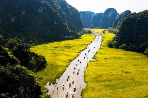 Majestic views of Ninh Binhs limestone peaks and vibrant rice fields