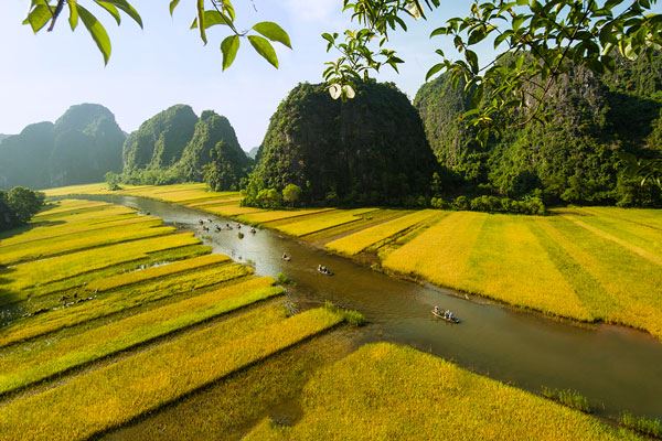 Majestic views of Ninh Binhs limestone peaks and vibrant rice fields